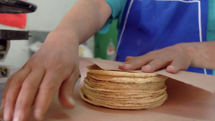 El precio del kilo de tortilla se mantiene entre 25 y 32 pesos en la Región Lagunera, pese al aumento en insumos.