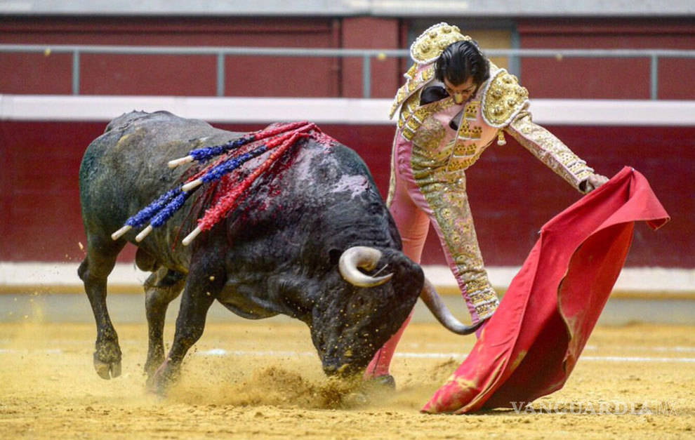 $!Desiste Armando Guadiana en su lucha por los toros