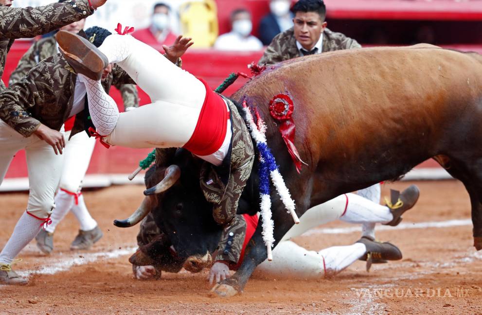 $!Los Forcados Amadores de México, un grupo de hombres que se enfrentan al toro con su cuerpo, confrontan al toro Don Daniel de 521Kg. EFE/Mario Guzmán