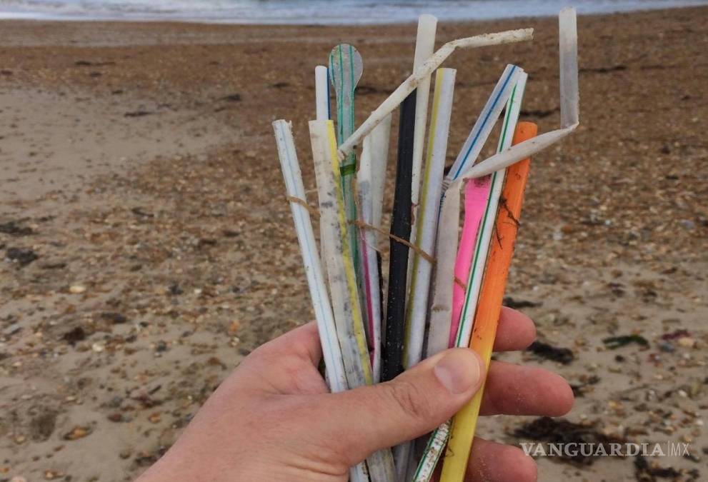 $!Usar bolsas de plástico y popotes está prohibido en estos estados de México