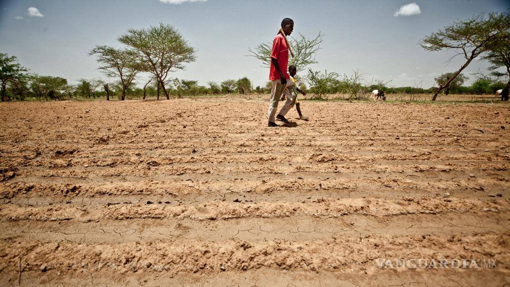 $!El cambio climático no es un riesgo, es una realidad, asegura legisladora