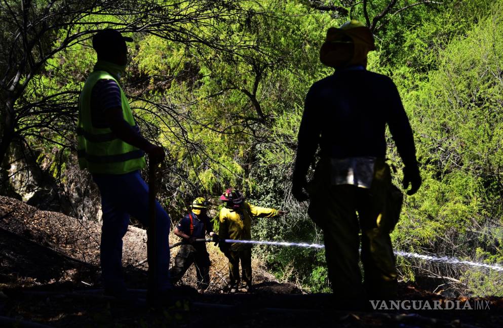 $!Controlan Bomberos incendio en arroyo de Ceballos, en Bosque Urbano de Saltillo