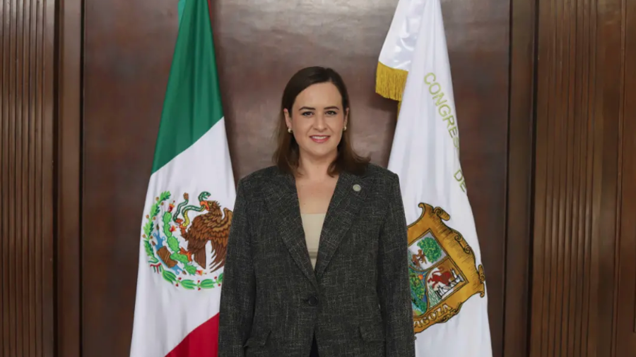 La diputada Beatriz Eugenia Fraustro Dávila, coordinadora de la Comisión de Hacienda, informó que los municipios han empezado a presentar su proyecto de ingresos al Congreso local.