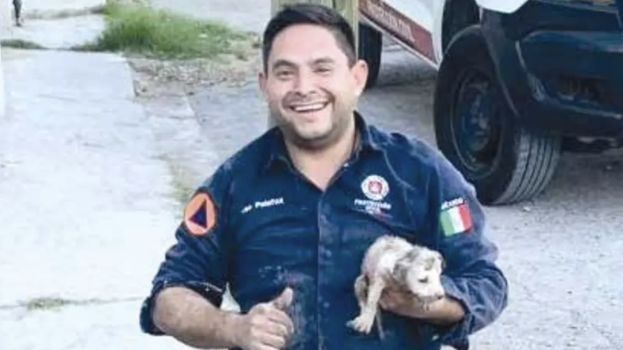 Personal de Bomberos de Monclova realizó labores de excavación para rescatar a un cachorro que permanecía atrapado en un tubo de drenaje en la colonia Deportivo.