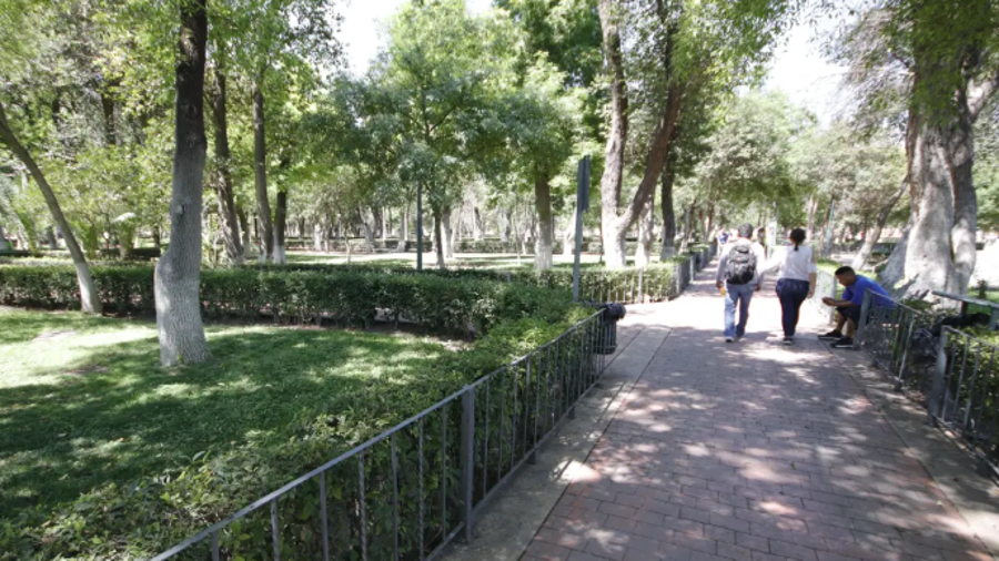 Integrantes de Transporte Digno Saltillo convocaron a ciudadanos a llevar agua y restos de café para nutrir áreas de la Alameda.
