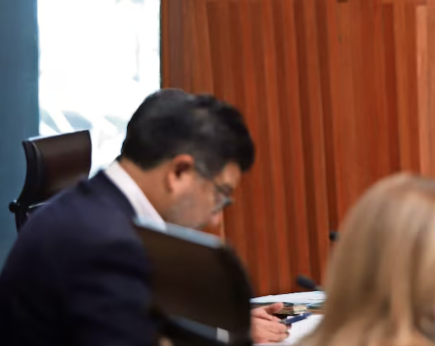 Cualquier apelación quedaría amarrada a la interpretación del Tribunal Electoral, dijo el investigador.