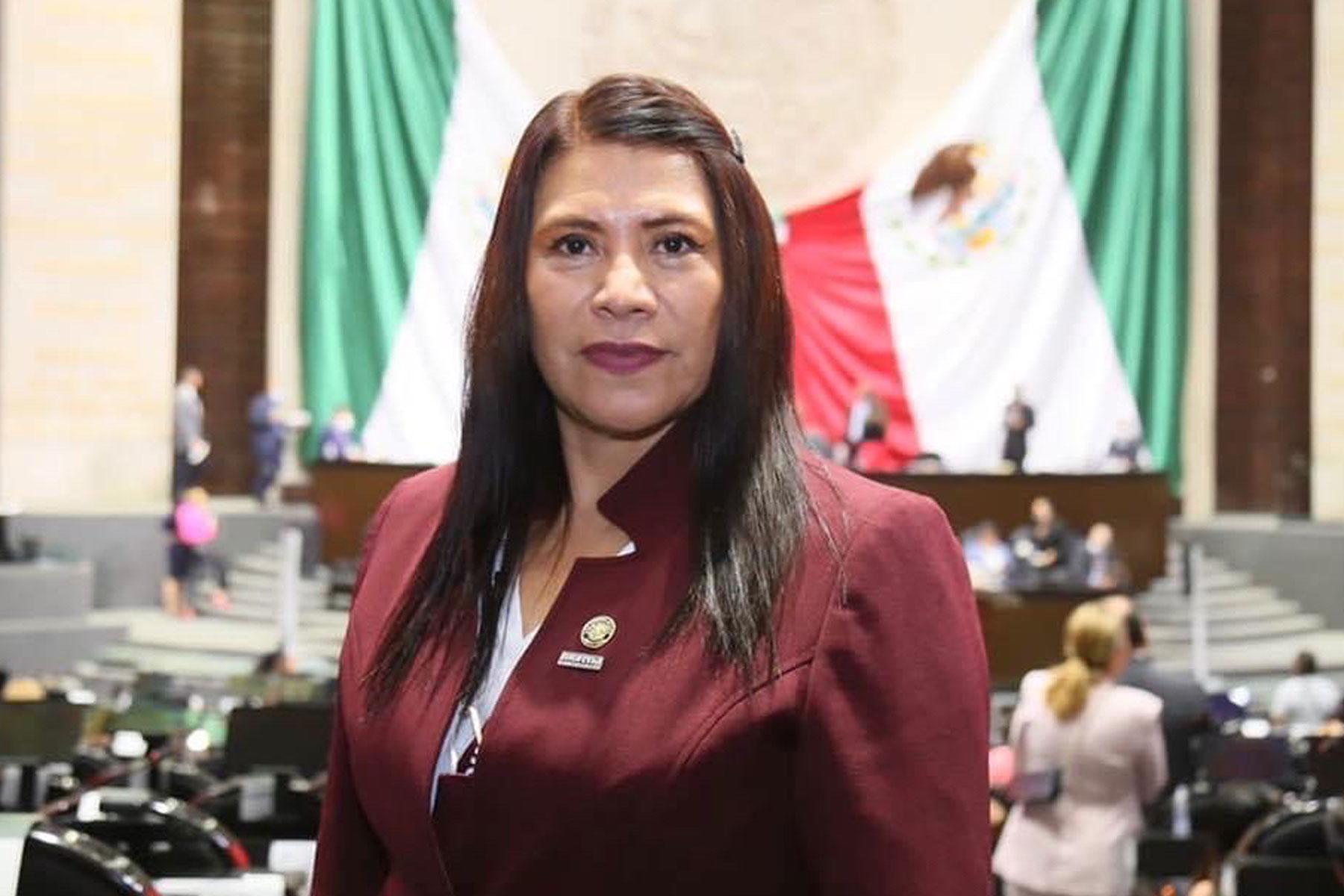 ¿Quién es Adela Ramos Juárez?... la diputada de Morena que votó en contra de la Reforma Electoral de AMLO . Noticias en tiempo real