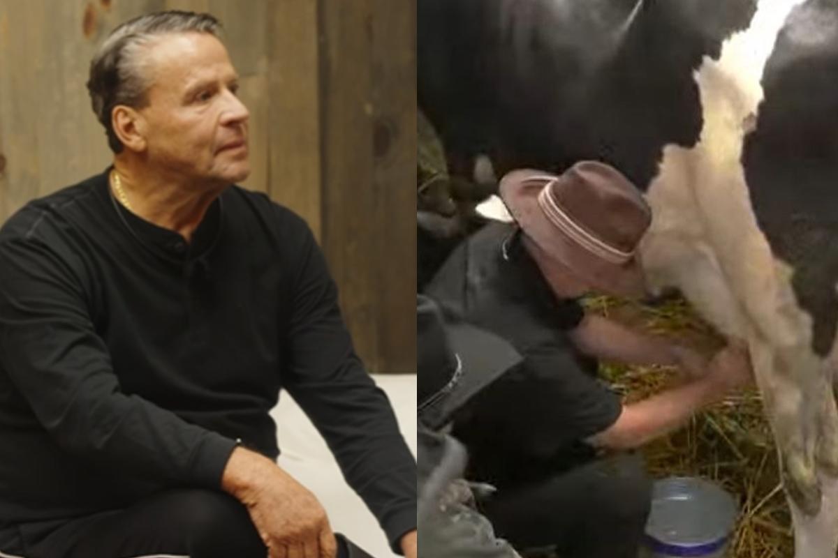 ¡Alfredo Adame habla con vacas en La Granja VIP!... ‘Prefiero estar con ustedes que con toda esa bola de gente mala’. Noticias en tiempo real