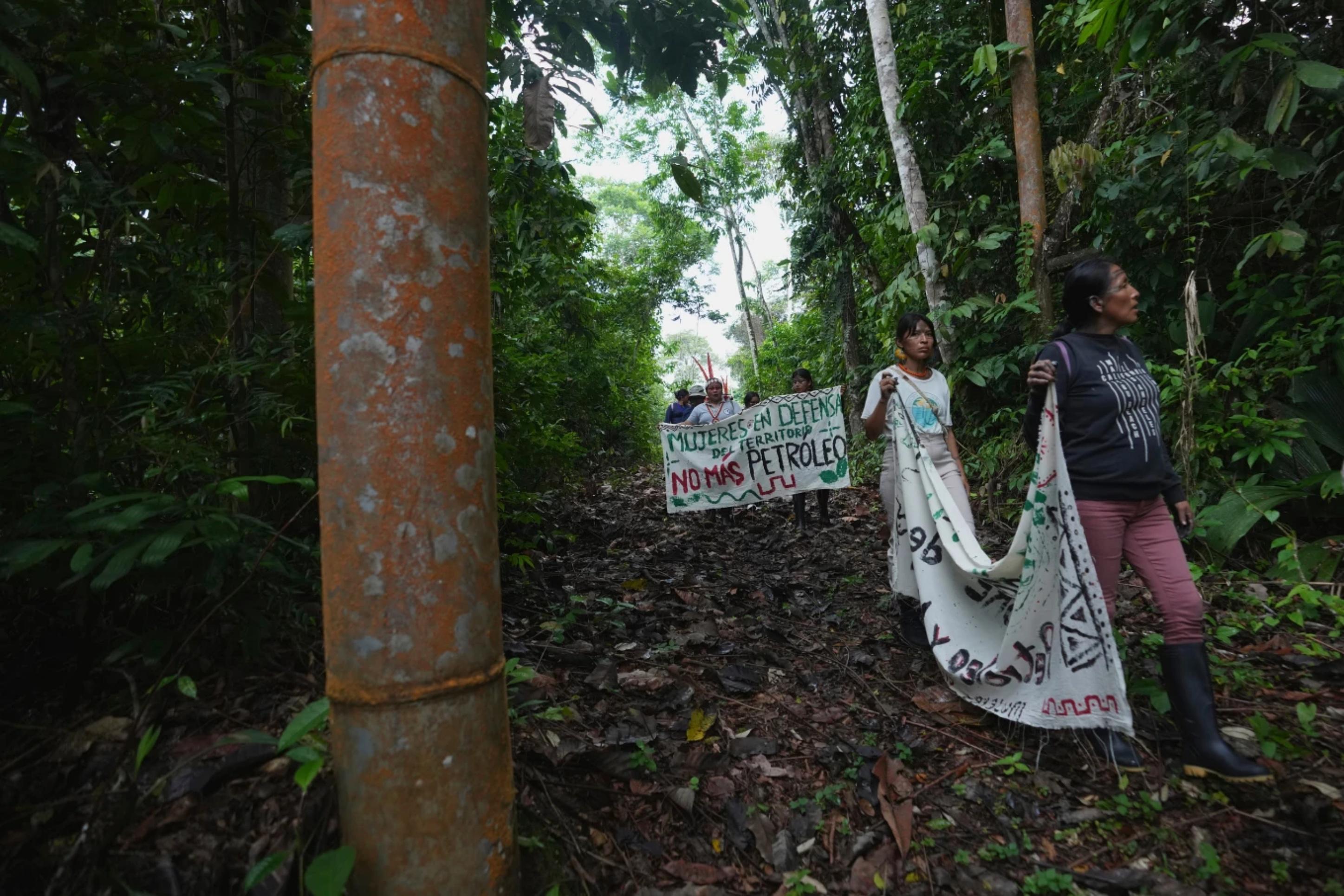 Si la deforestación sigue, la Amazonía estaría en un punto sin retorno