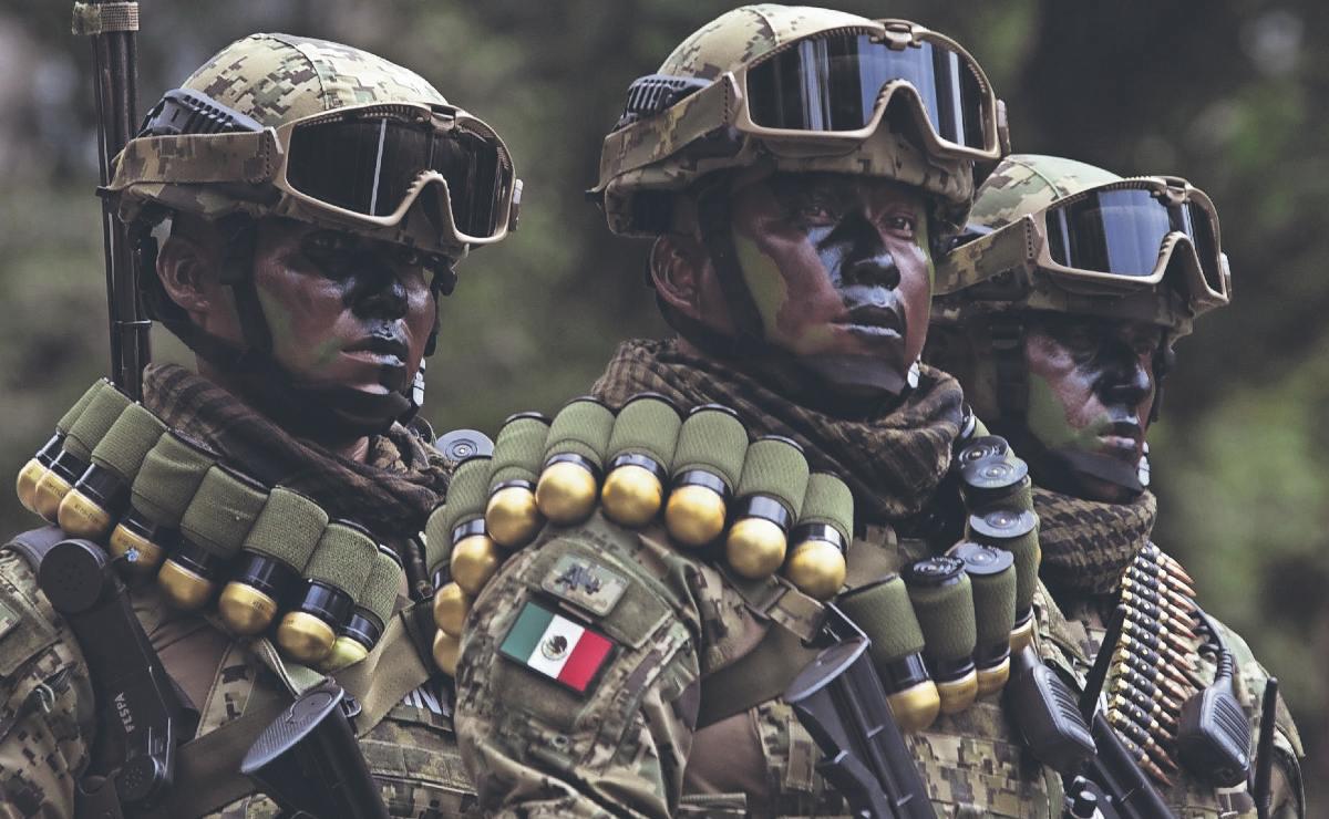 Ejército mexicano sube 11 posiciones en ranking mundial en un año. Noticias en tiempo real