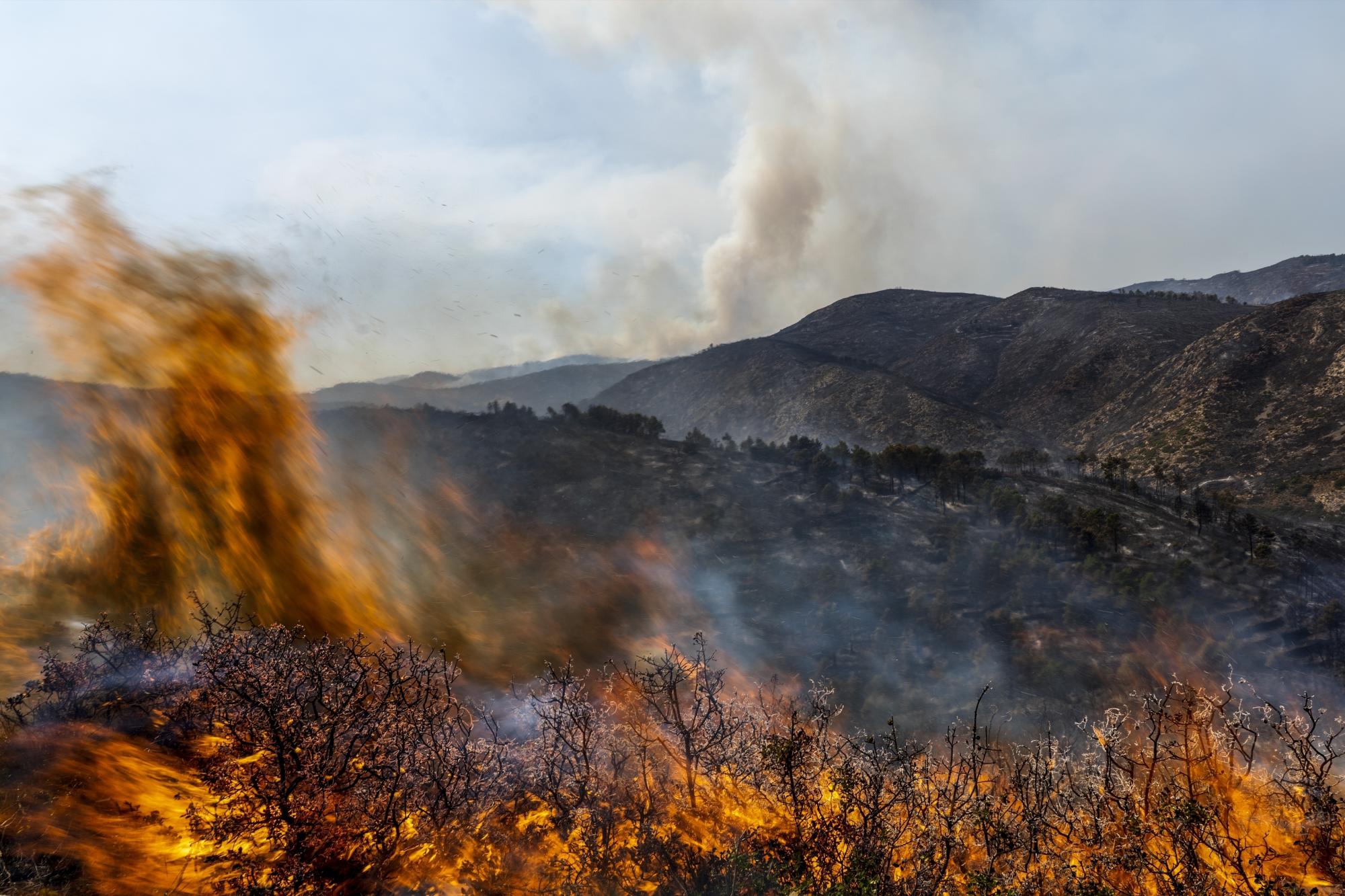 Amenaza temporada de incendios a Cataluña ante calor histórico y sequía. Noticias en tiempo real