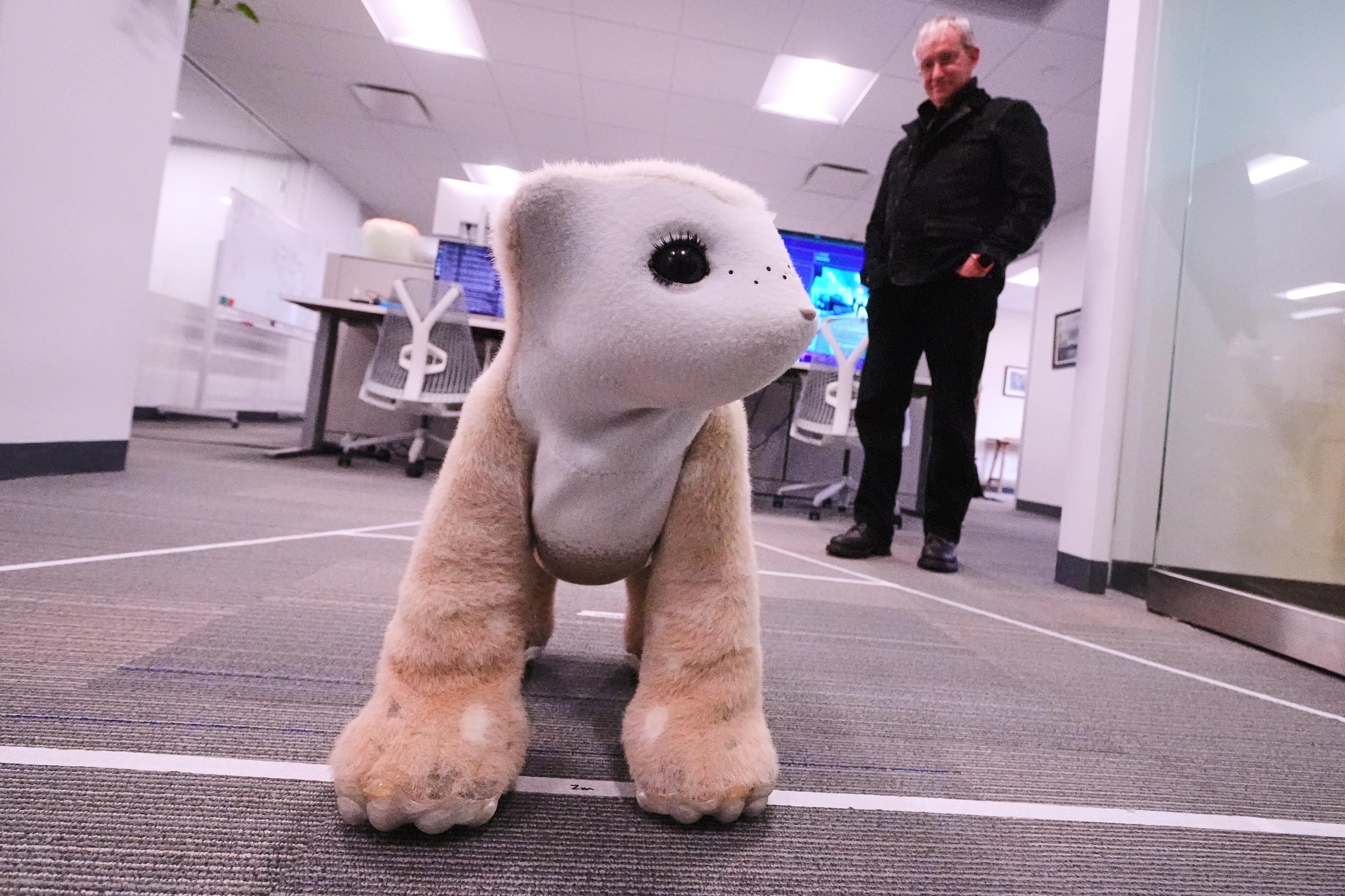 Busca el creador de Roomba conquistar el mercado doméstico con un robot mascota que funciona con IA