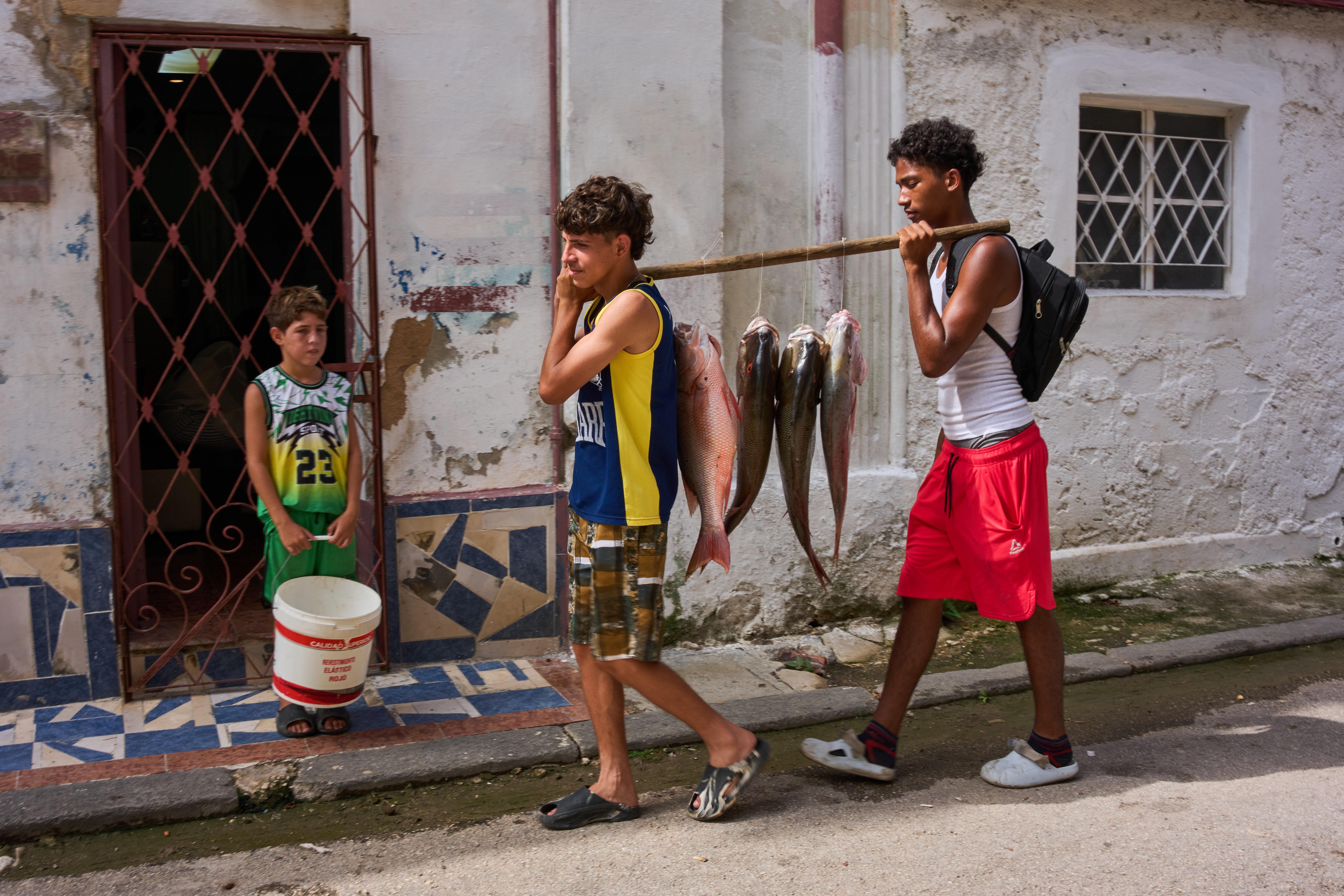 Cuba, EU y los derechos humanos, los expertos observan un pr