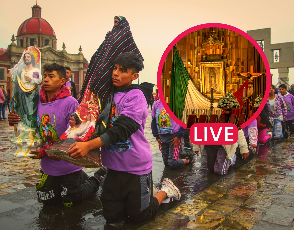 EN VIVO: Aquí puedes observar las mañanitas a la Virgen desde la Basílica de Guadalupe. Noticias en tiempo real