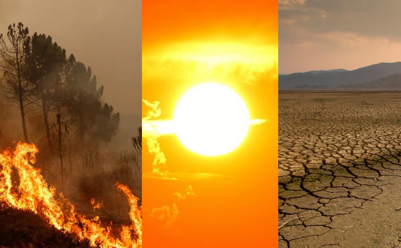 ‘El colapso climático ha comenzado’... advierten expertos que este verano fue el más caluroso desde hace 120 mil años  . Noticias en tiempo real