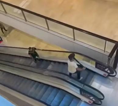 Revelan que hombre francés se enfrentó al asesino de centro comercial en Sydney. Noticias en tiempo real