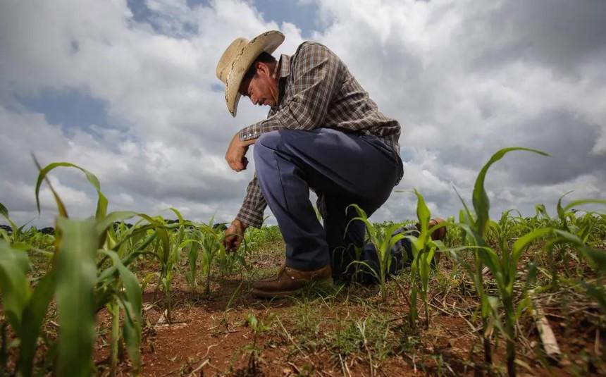 Llaman a productores de Coahuila a regularizar concesiones de agua para mantener subsidio eléctrico agrícola
