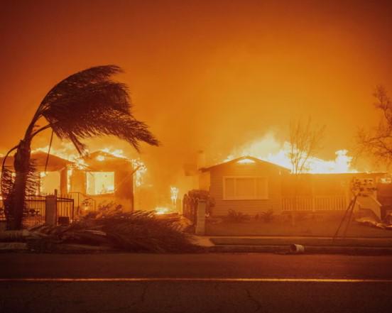 Revela estudio que los incendios forestales devastan las zonas más ricas