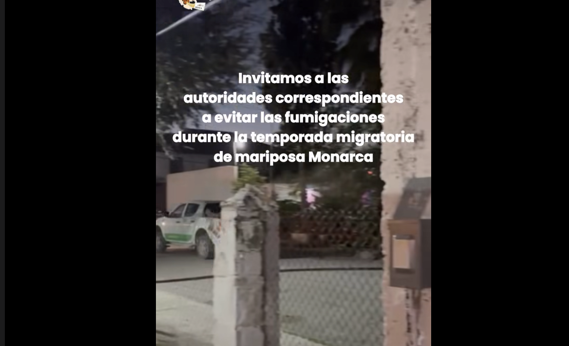 Atienden en Acuña llamado para proteger a mariposas Monarca de las fumigaciones