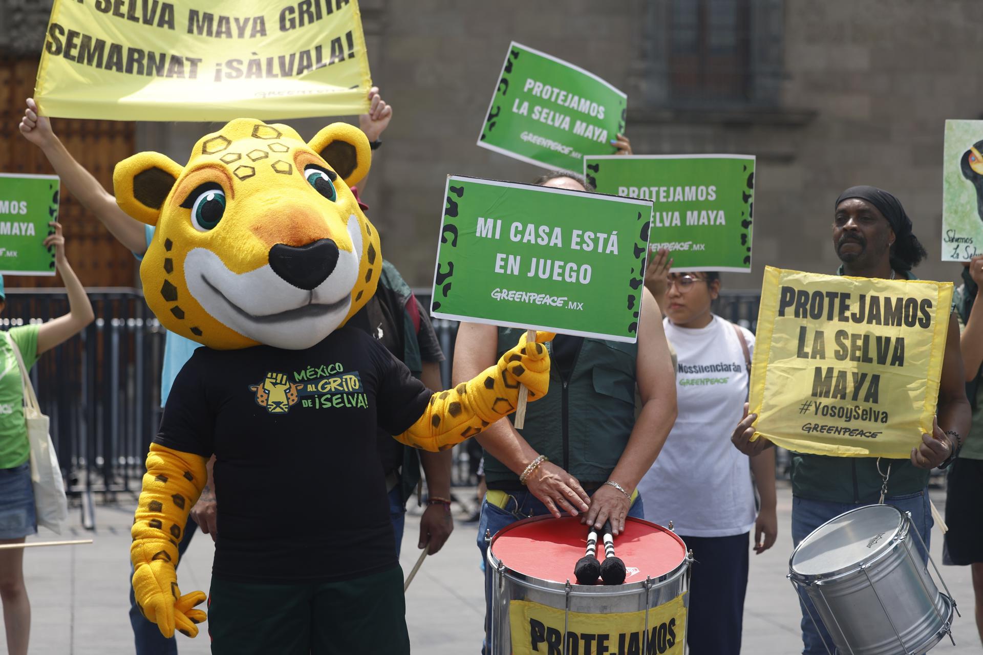 Lanza Greenpeace la ruta del jaguar para alertar de la destrucción de la Selva Maya en México