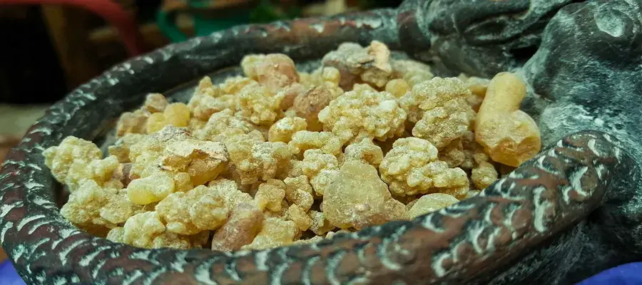 Tour culinario: Entre ‘comas’ y herbarios. Noticias en tiempo real