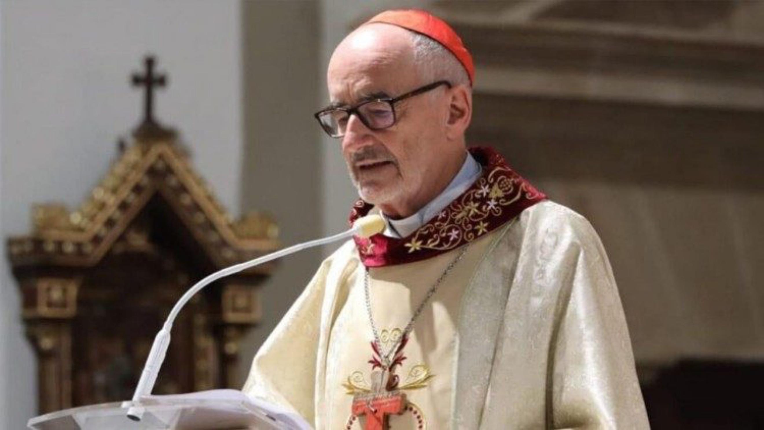El cardenal Michael Czerny, prefecto del Dicasterio para el Servicio del Desarrollo Humano Integral.