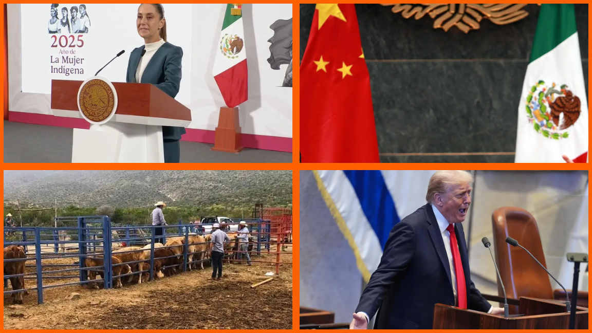 Las noticias más importantes del 13 de octubre en México. Noticias en tiempo real