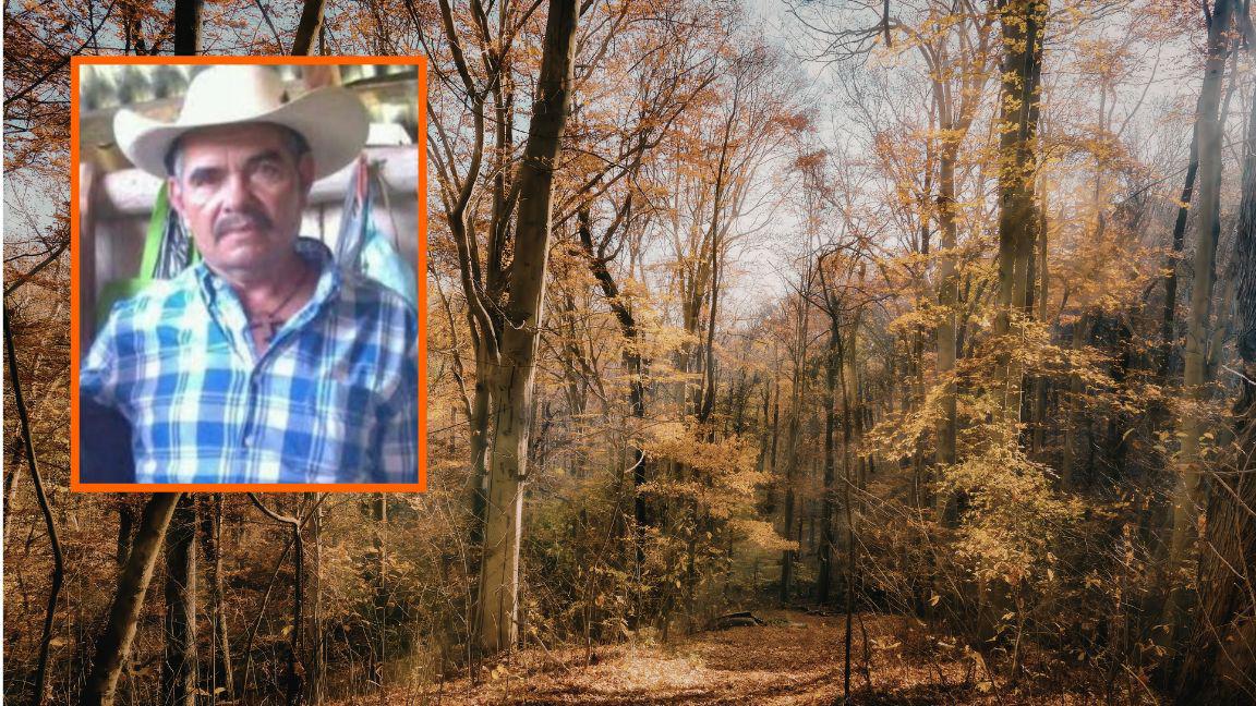 Asesinan a Roberto Chávez, ambientalista en contra de la tala de árboles en Michoacán