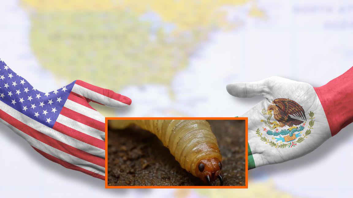 Detienen importaciones de animales vivos desde Estados Unido