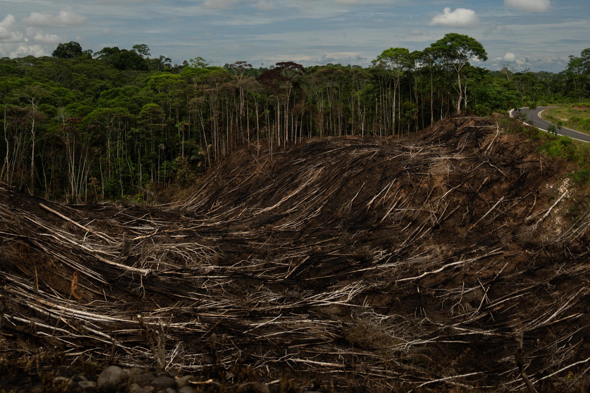 Ecuador trató de frenar la extracción de petróleo y proteger la Amazonía, pero sucedió lo contrario. Noticias en tiempo real