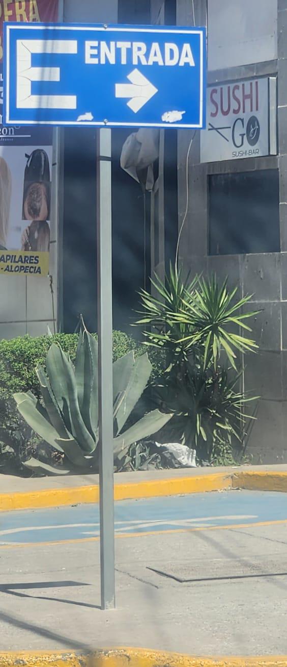 Estacionarse en lugar prohibido, utilizar el celular y no usar cinturón, son las multas más recurrentes en Torreón. Noticias en tiempo real