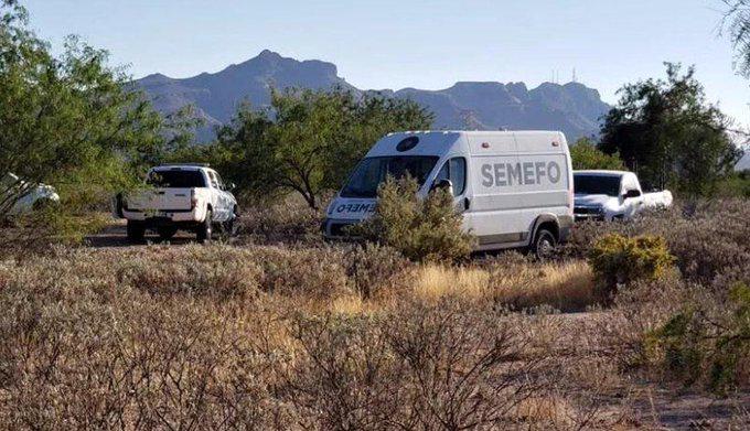 Arrojan cinco cuerpos en camino de terracería en Sonora, AMLO visitará la localidad. Noticias en tiempo real