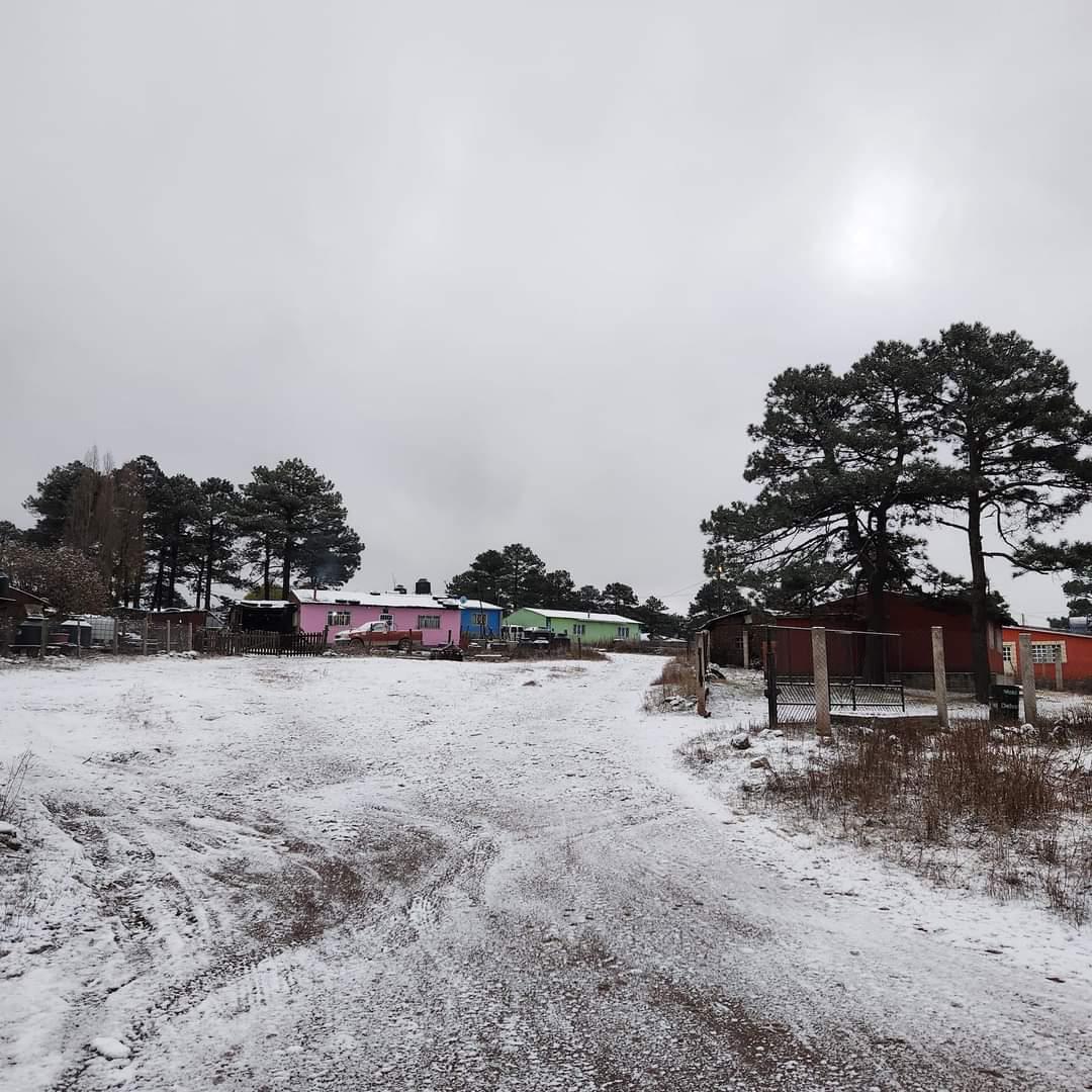 Nieve llegó a Chihuahua y Durango, tormenta invernal afecta territorios altos (fotos). Noticias en tiempo real