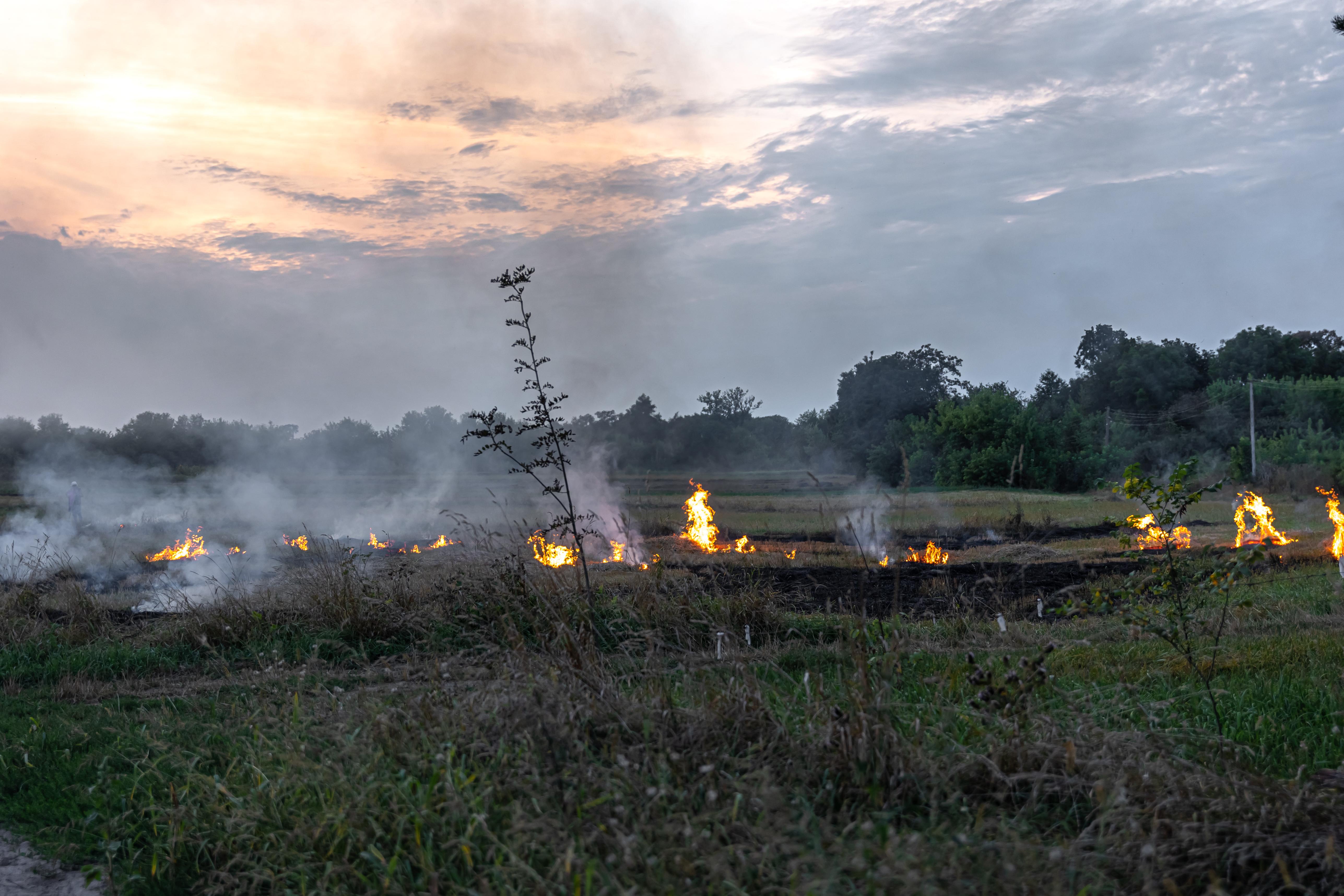 Permanece activo incendio forestal en Candela; registra 35% de control