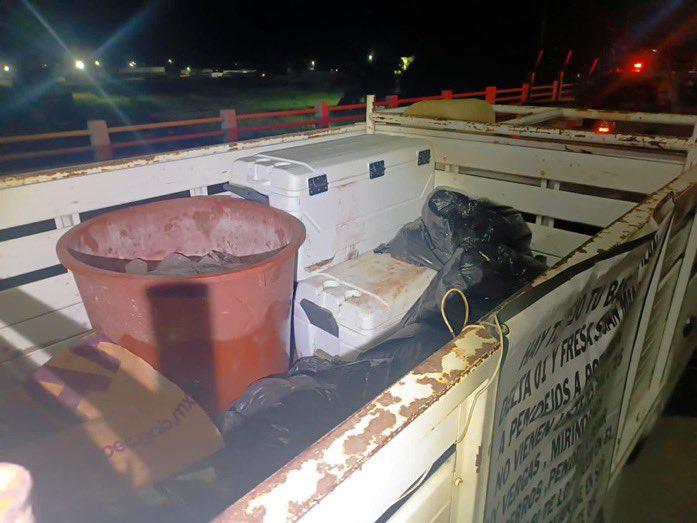 Dejan 15 cuerpos en dos camionetas sobre un puente de Tuxpan, en Veracruz. Noticias en tiempo real