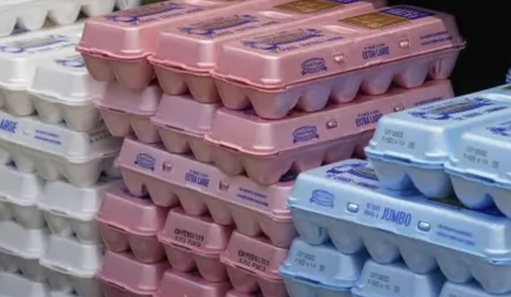 Por gripe aviar detiene producción el mayor proveedor de huevos de EU; sacrifica más de un millón de aves. Noticias en tiempo real