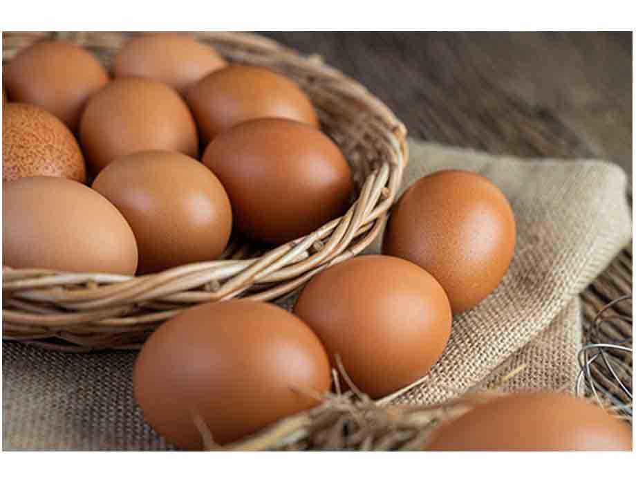 Coahuila: ¿Por qué incluir el huevo en la dieta diaria?. Noticias en tiempo real