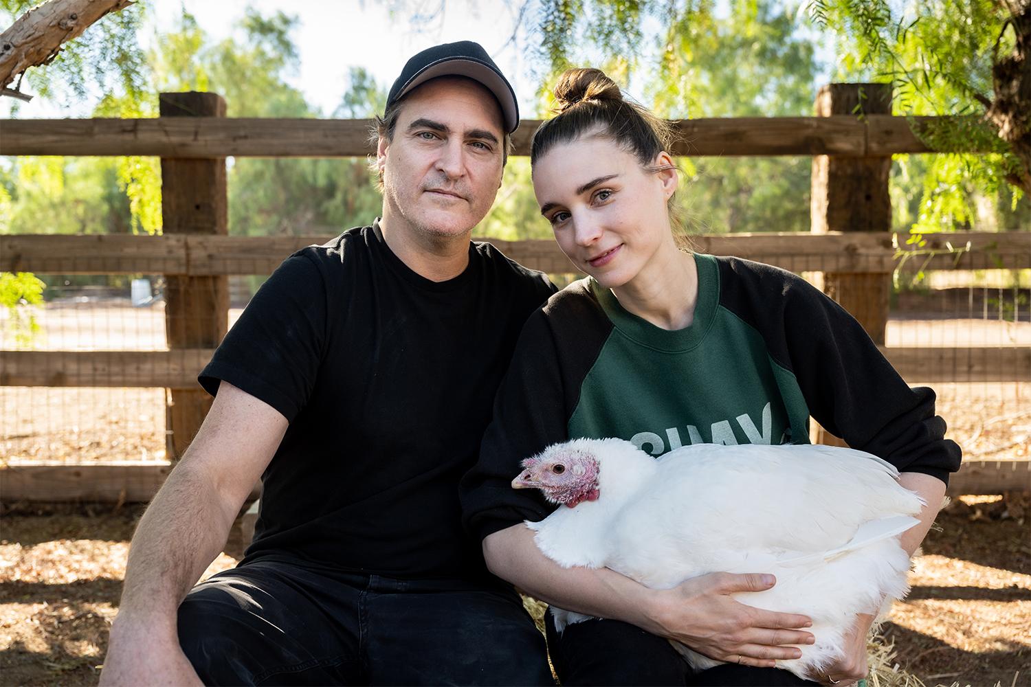Joaquin Phoenix y Rooney Mara invitan a la gente a adoptar, no a comer pavos este Día de Acción de Gracias. Noticias en tiempo real