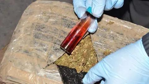 En Coahuila, la mariguana sigue siendo una de las drogas más incautadas mes con mes.