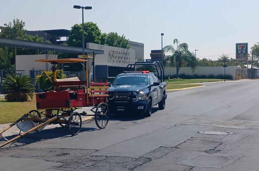 Carretonero es detenido por caso de maltrato animal en Monterrey, Nuevo León