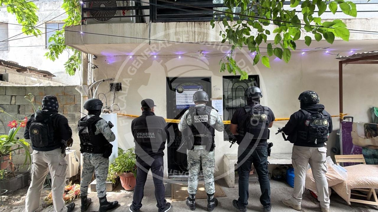 Cateo en vivienda deja el aseguramiento de más de media tonelada de marihuana, en NL