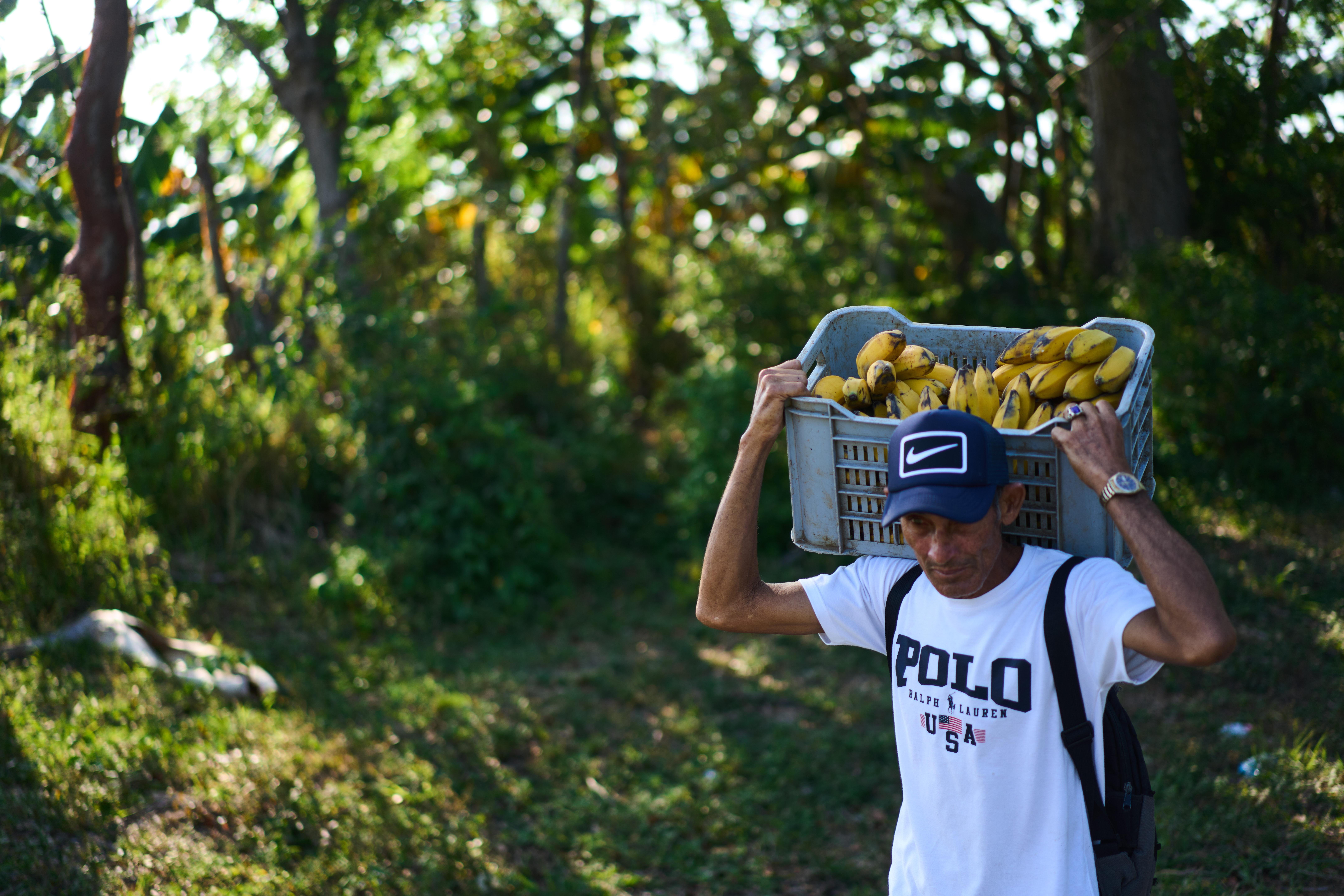Bloqueo energético de EU deja a los agricultores cubanos luchando por alimentar al país