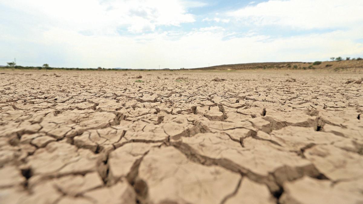 Impacta sequía al 65% de México. Noticias en tiempo real