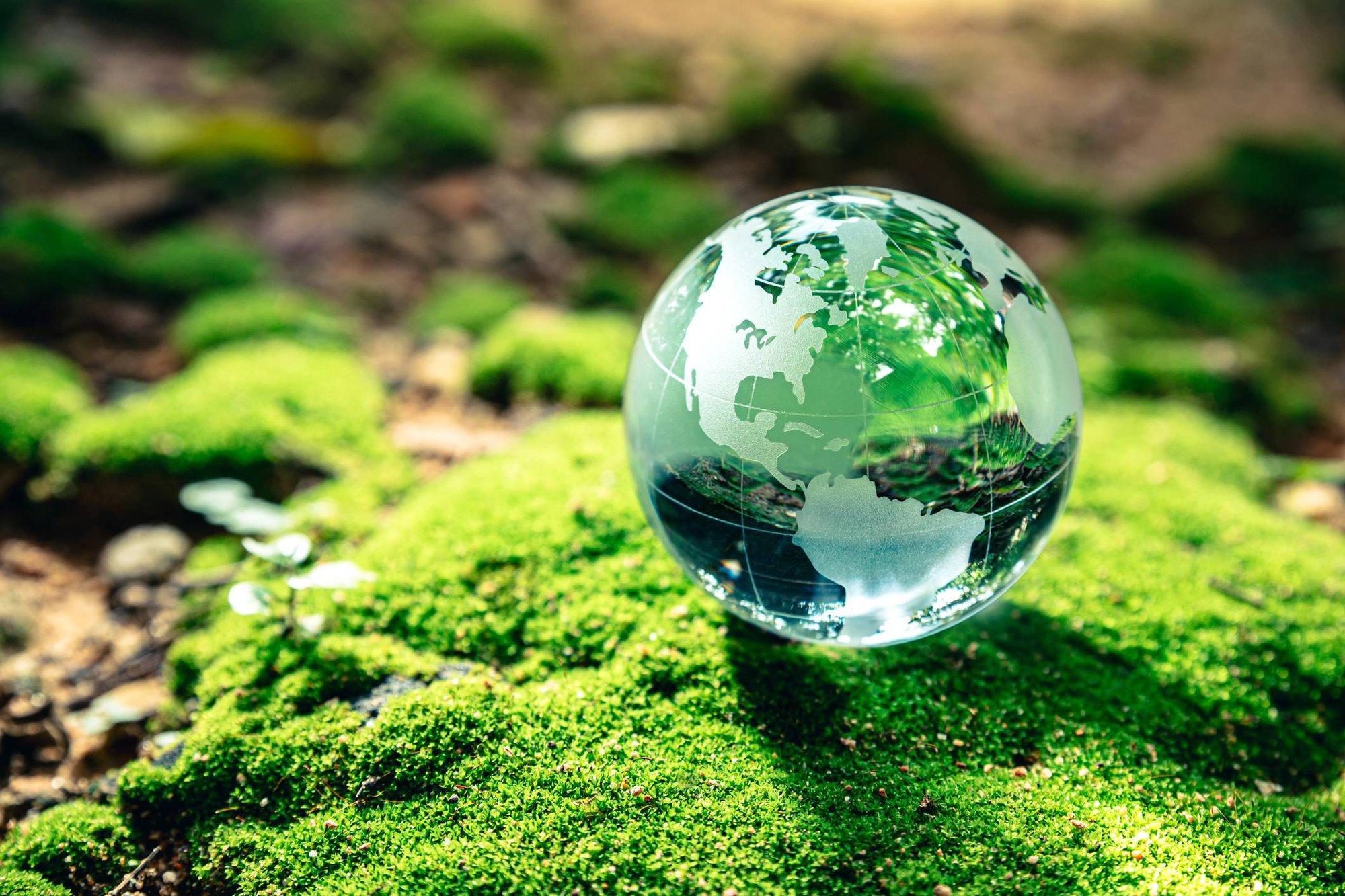 Día Mundial del Medio Ambiente: La advertencia final