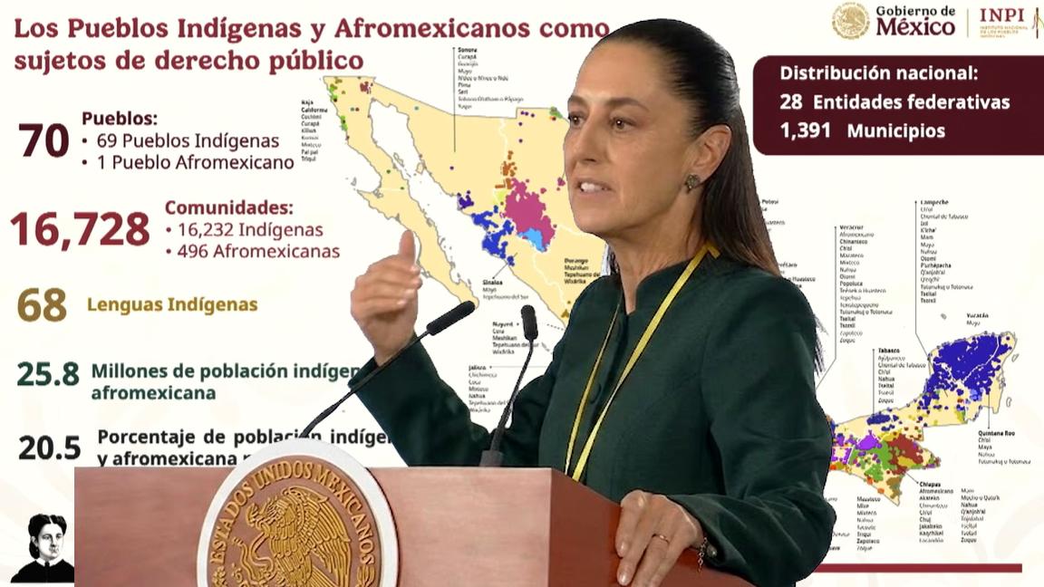 Ley de Derechos de los Pueblos Indígenas... ¿Cuáles son los 8 puntos de esta iniciativa?