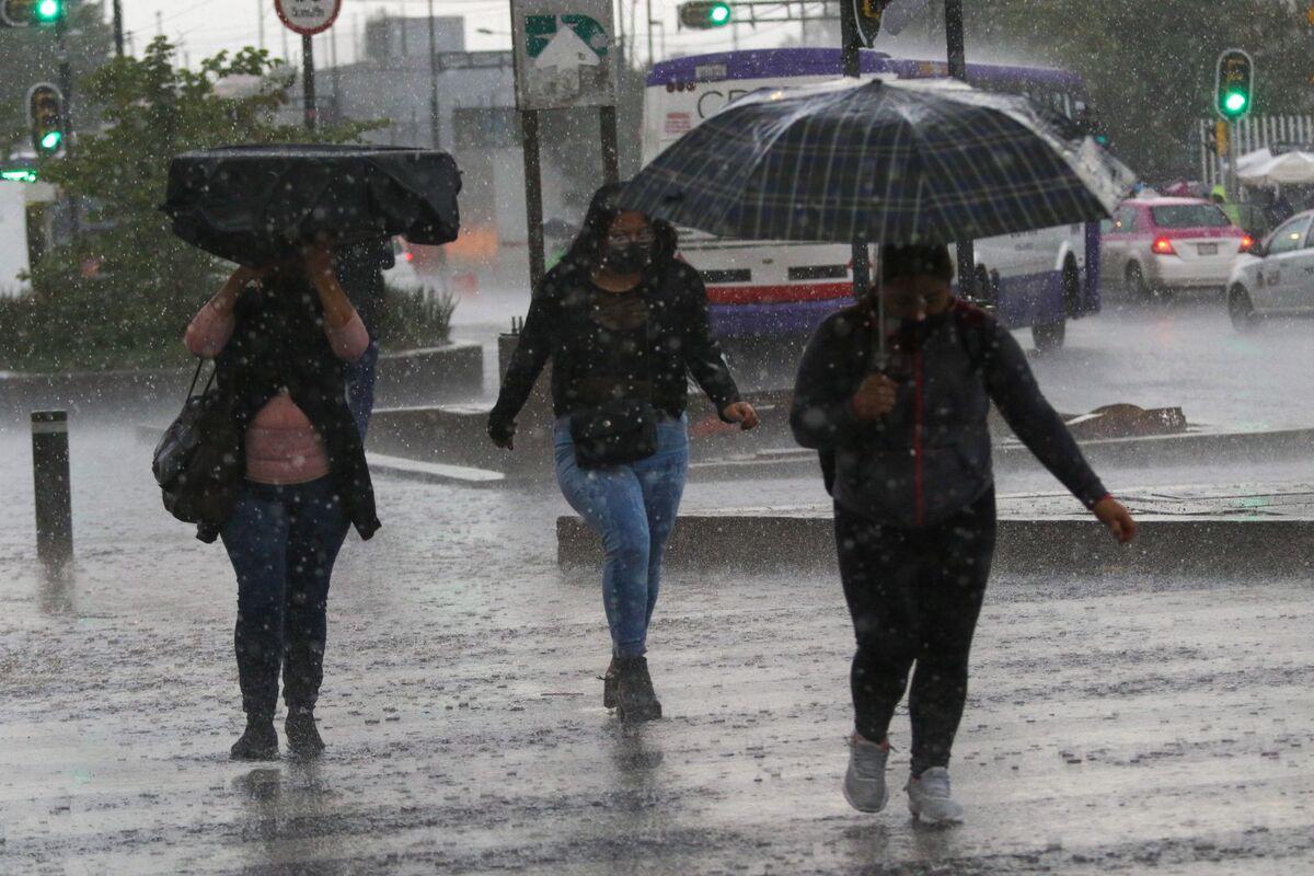 Clima en México: Fuertes lluvias e inundaciones en 29 estados; Tormenta Tropical Newton y canales de baja presión golpearán al territorio mexicano. Noticias en tiempo real
