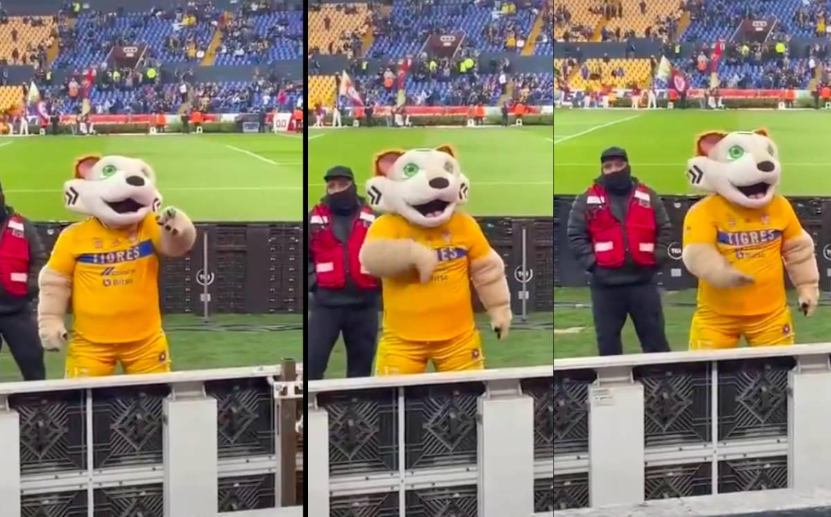 ¿Qué pasó con la botarga de Tigres?... hace señas obscenas a aficionados de Rayados (video). Noticias en tiempo real
