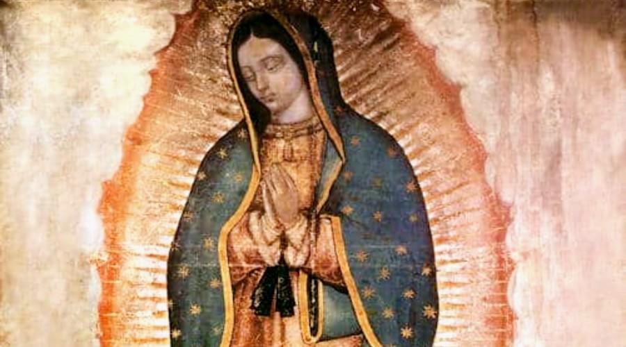 Virgen de Guadalupe... Los 21 misterios que esconde su imagen y 8 datos asombrosos a 491 años de su aparición. Noticias en tiempo real