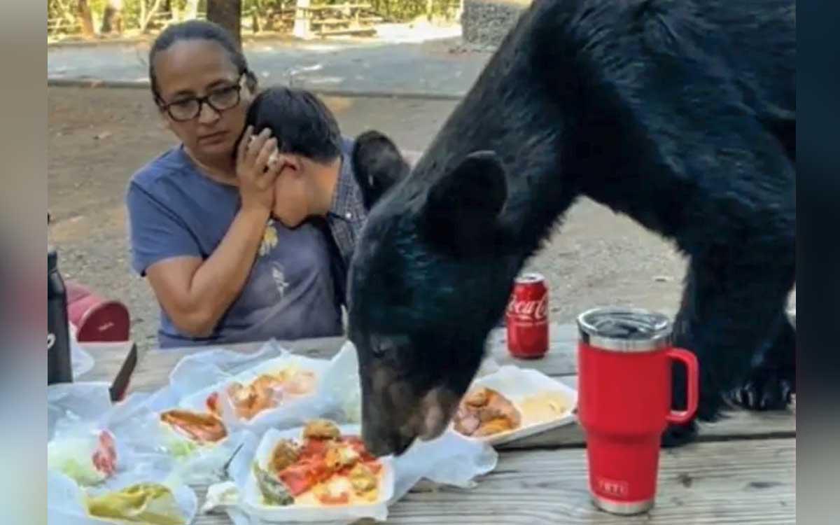 Falla en el manejo de residuos sólidos atenta contra el oso negro en Coahuila