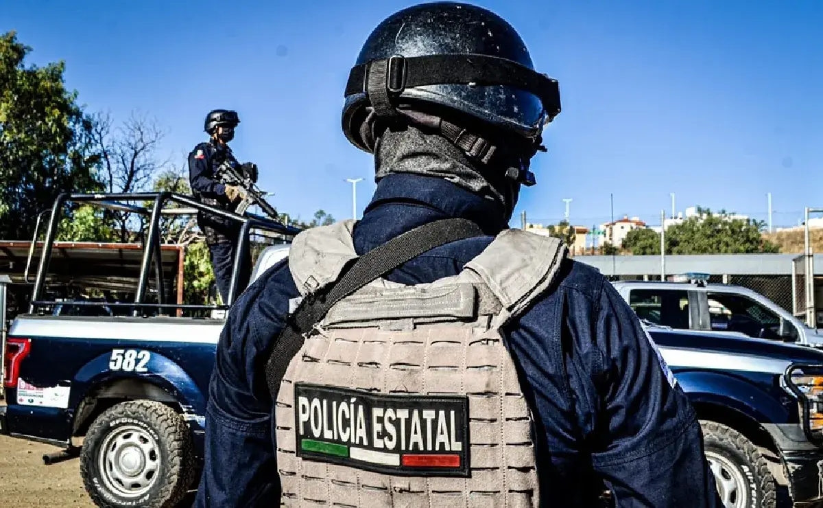  Vinculan a proceso a cuatro policías de San Luis Potosí por abandono de siete cadáveres en Zacatecas . Noticias en tiempo real